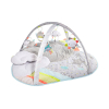 Babygym SilverLining