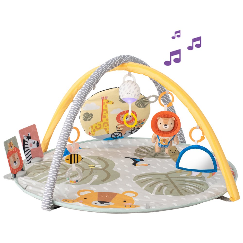 TAF12785 SAVANNAH 360 ACTIVITY GYM