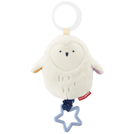 owl01