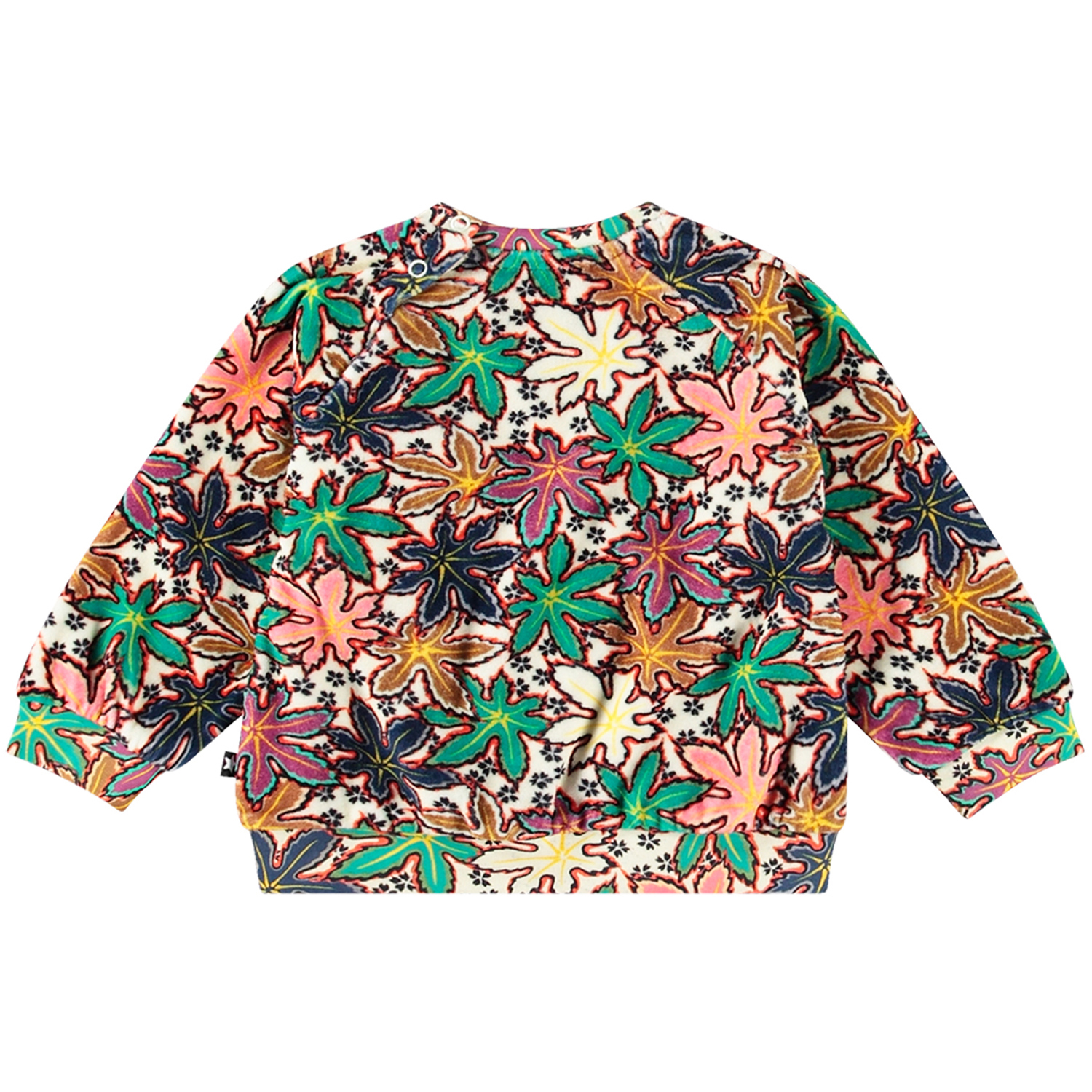 miixi-Molo-MX-0011645-1