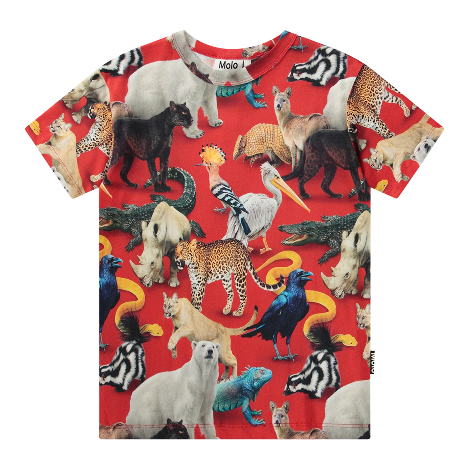 Miixi - Kläder / T-shirt - Molo - T-shirt Riley GOTS