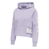 Miixi - Kläder / Dam / Sport & fritid - Hummel - Hoodie hml LGC Yoko Cropped