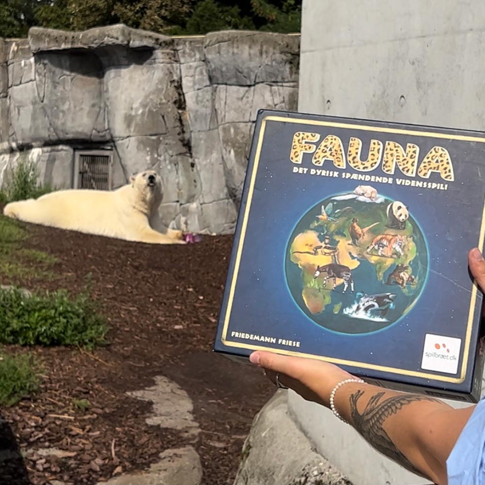 miixi-Bradspel-Lautapelit-MX-0014798-3