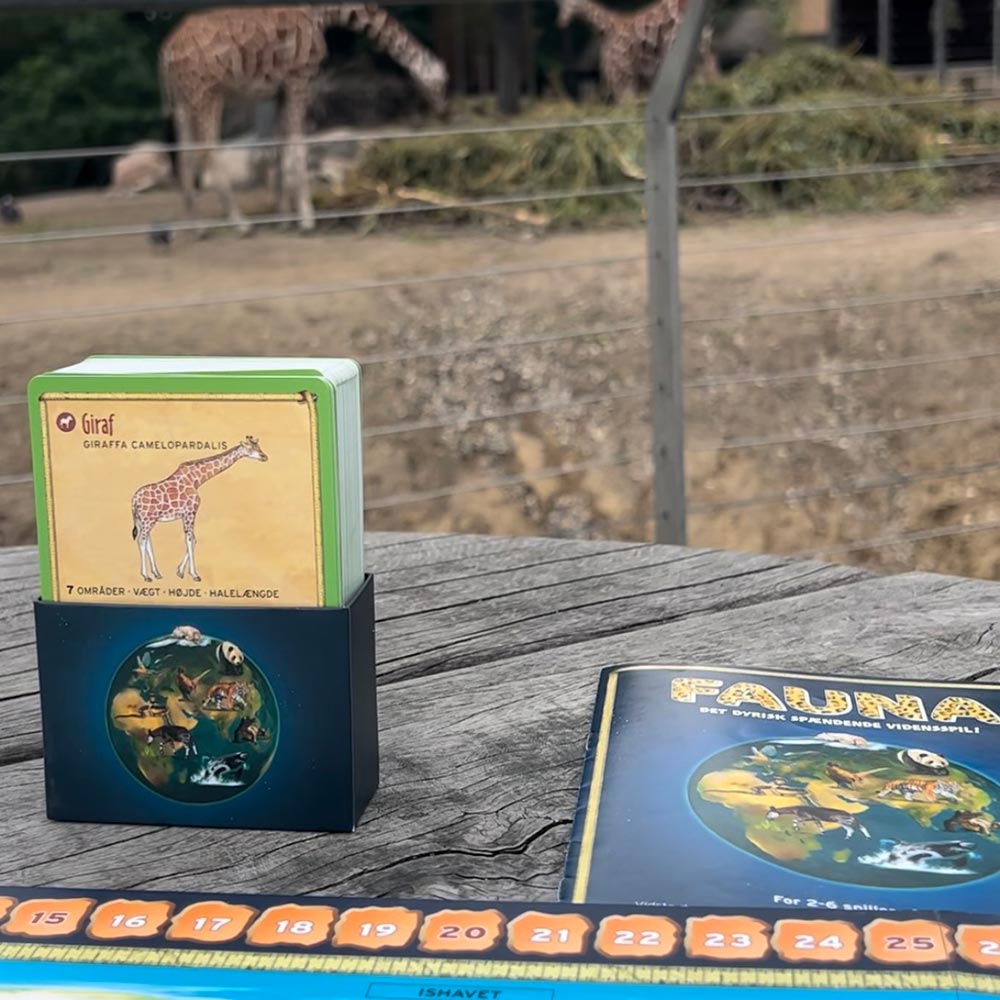 miixi-Bradspel-Lautapelit-MX-0014798-4