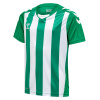 Miixi -  - Hummel - Junior Matchtröja hml Core XK Striped Jersey S/S Kids