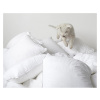 miixi-Borganas-Kudde-MX-0017604_2