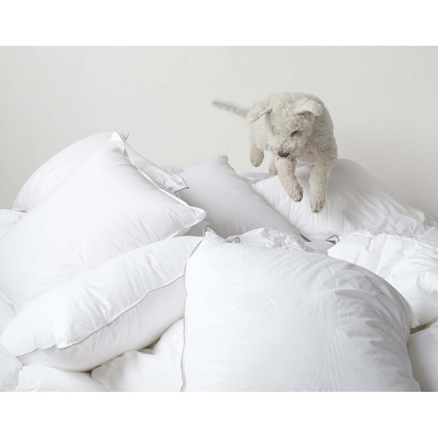 miixi-Borganas-Kudde-MX-0017604_2